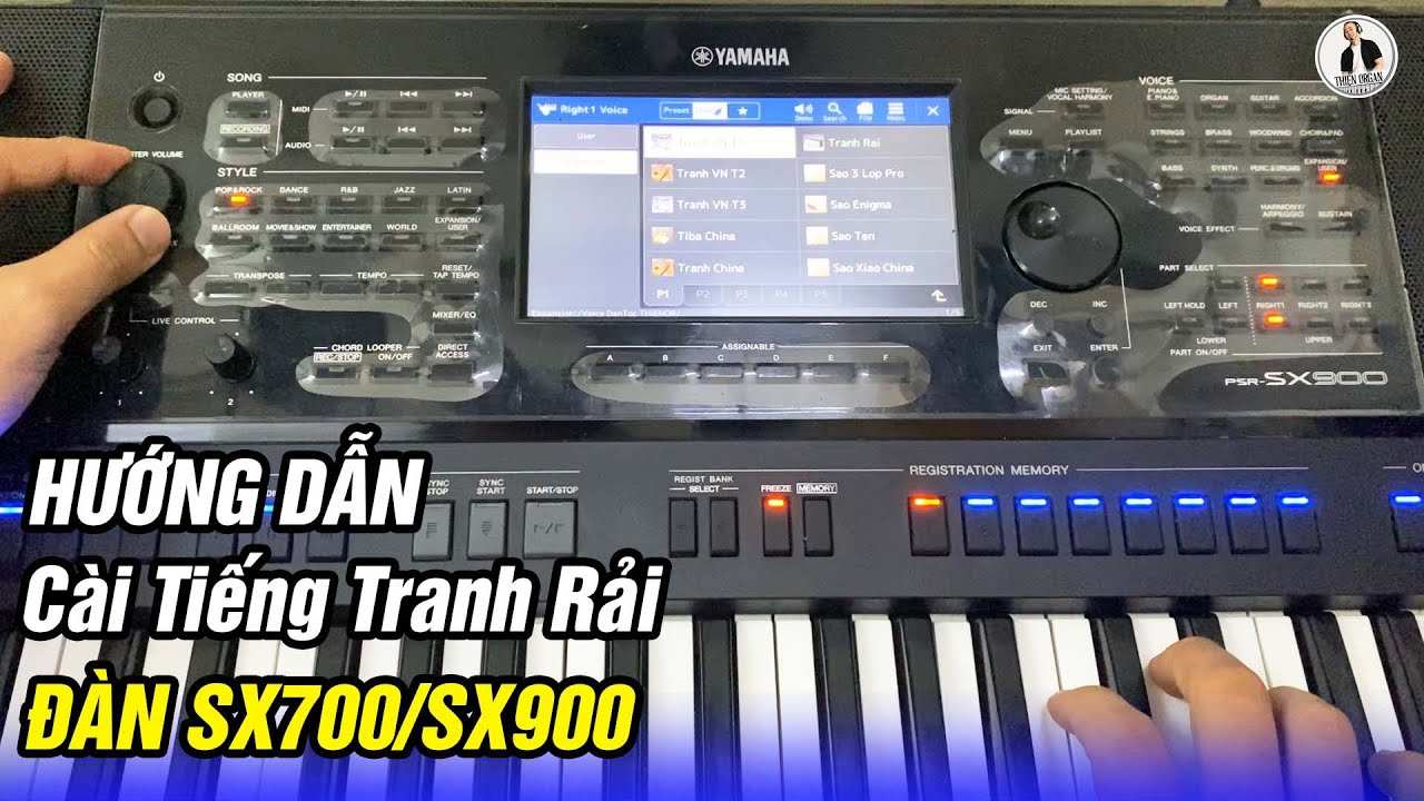 ABCD đàn SX700 SX900