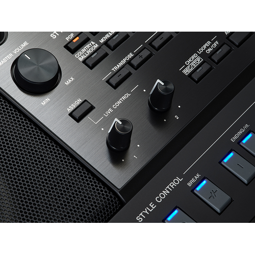 Close-up of Yamaha Arrange Workstation PSR-SX920 Assignable button and Live Control knobs