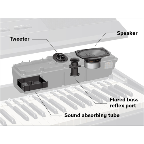 An illustration showing the inside of speaker box