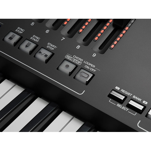 Close-up of Chord Looper button