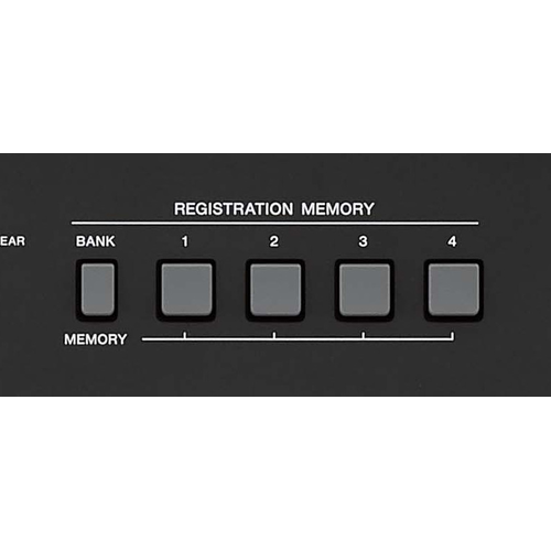 Đàn Keyboard Yamaha PSR E463