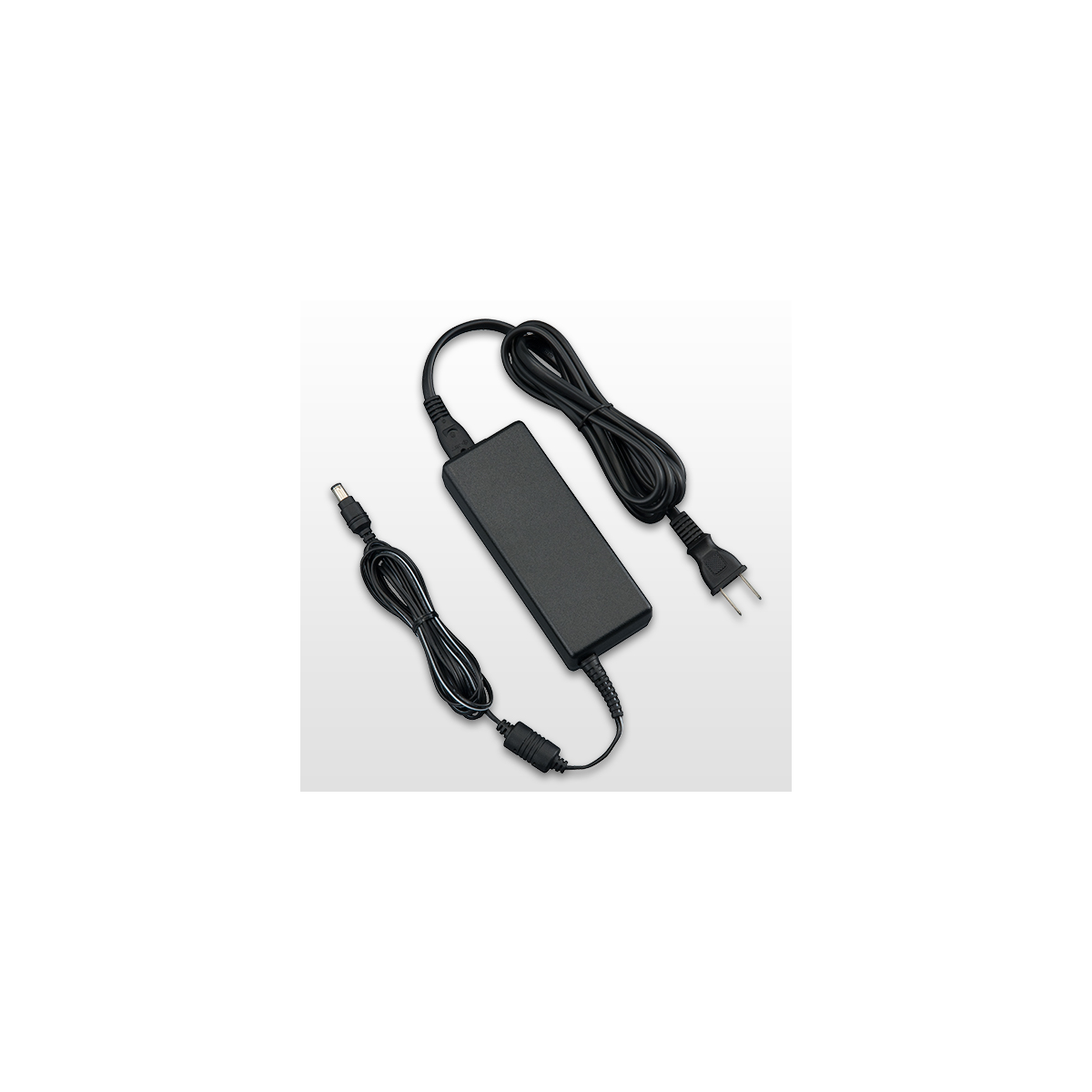 Adapter nguồn Yamaha PA-300C