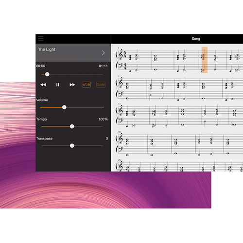 AUDIO TO SCORE LETS YOU TRY YOUR HAND AT THE TUNES YOU WANT RIGHT AWAY