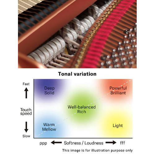 GRAND EXPRESSION MODELING
