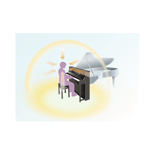 GRAND ACOUSTIC IMAGING