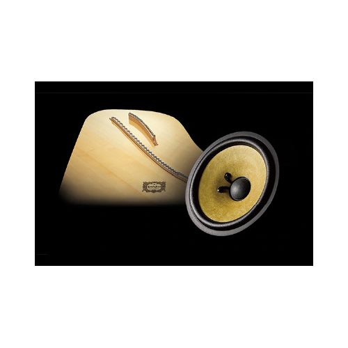 SPRUCE CONE SPEAKER