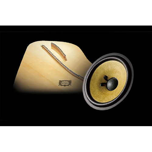 SPRUCE CONE SPEAKER